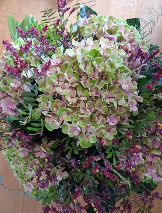 Hortensienstrauß in Rosa und Grün